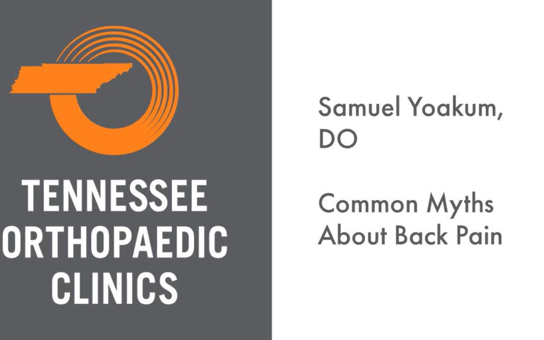 Common Myths About Back Pain